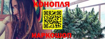 шишки Тосно