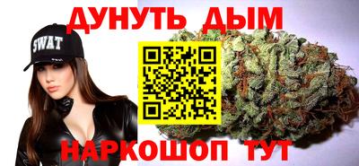 крисы Тайшет